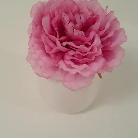 Mimi * ماكارسكا