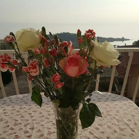 Mimi Apartamento *