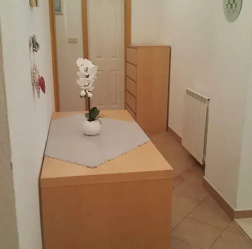 Mimi Daire Makarska